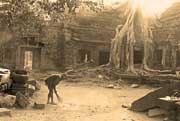 Ta prohm Temple, Angkor